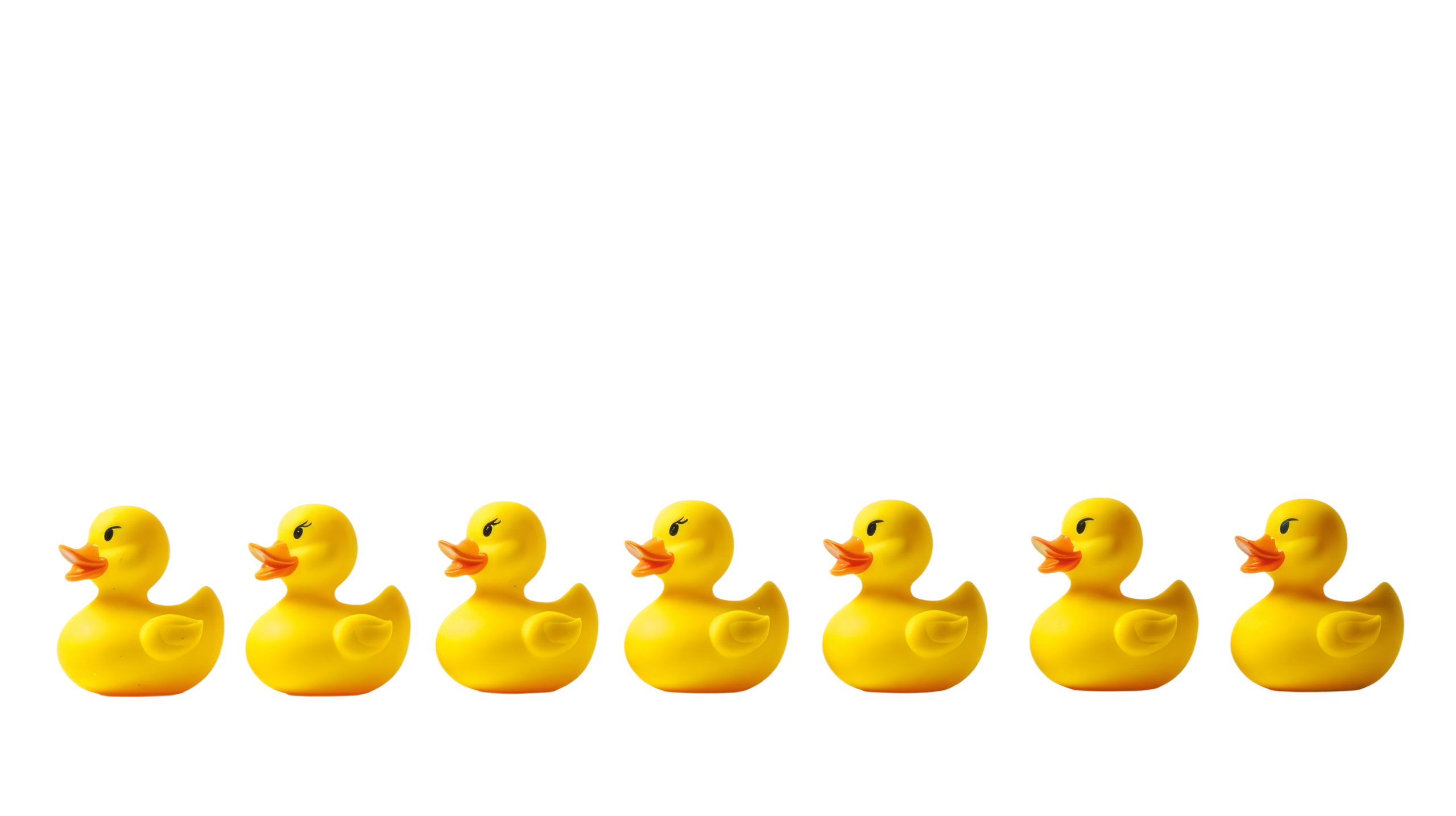 A row of seven yellow rubber ducks